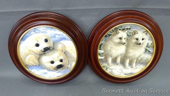 Two framed collector's plates including 'Arctic Fox Cubs' and 'Baby Seals' with COA's.