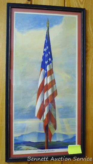 Framed print of the flag, "Sentinel of Freedom" by Adrian Brewer; measures 12" x 23".