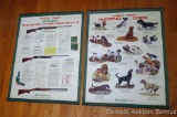 1974 Remington store display posters. Measure approx 30