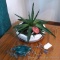 Potted plant is in an approx 12