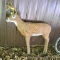 Deer bow target with replaceable heart and lung section 46