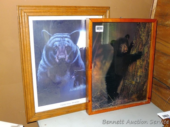 Night Life series Black Bear print by CJ Conner is number716/750, measures approx 23"19". Battery