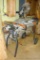 Ridgid 12