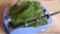 Artificial Christmas tree stored in a handy tote.