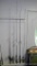 Five fishing rods with reels, tallest is 80