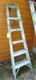 6' aluminum step ladder comes with a bird nest.