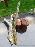 Six assorted wooden mushrooms vary in height from approx. 12