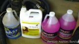 Two gallons of RV & Marine Antifreeze; partial jug of window wash; partial jug of paint thinner.