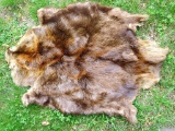 Tanned beaver hide is nice and soft. Measures approx. 2-1/2' long.