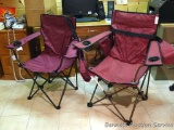 Two folding camp chairs, both with carry bags. Good shape.