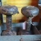 Two 10 lb. dumbbells. Has some surface rust.