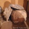 Three burls. Largest is approx. 2' - will make a nice bowl with a little work.