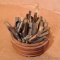 Assortment of spires for maple tree tapping. Includes wooden and metal taps.