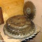 Used saw blades, largest is 12