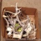 Assortment of white tail deer antlers. Box is 12