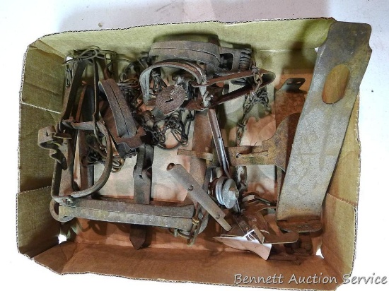 Box of trap parts, largest is a 18" double spring with cast jaws.