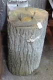 Large wooden stump measures 20