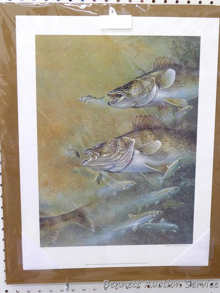 Five signed & numbered fish prints by Scott