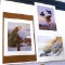 Three signed and numbered owl prints including: In Silent Watch by Mike Casper, Jerry Gadamus, Don