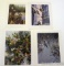 Four signed & numbered song bird prints by Zoellick, Zietor, Schultz, and Miller. Zoellick 'December