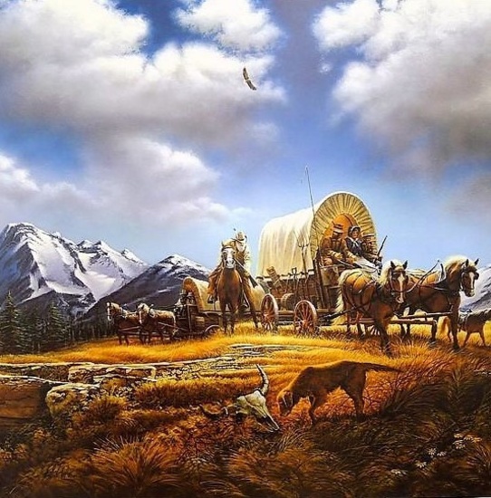 Wildlife Prints & More