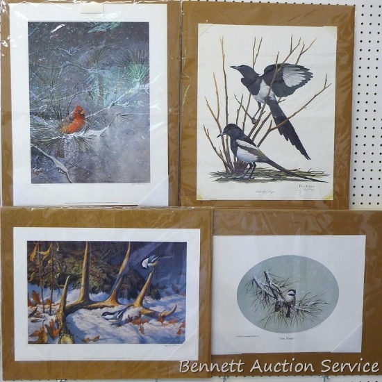 Three songbird and one other bird print by Don Moore, Scott Zoellick, Tim Leonardelli and Ray Harm.