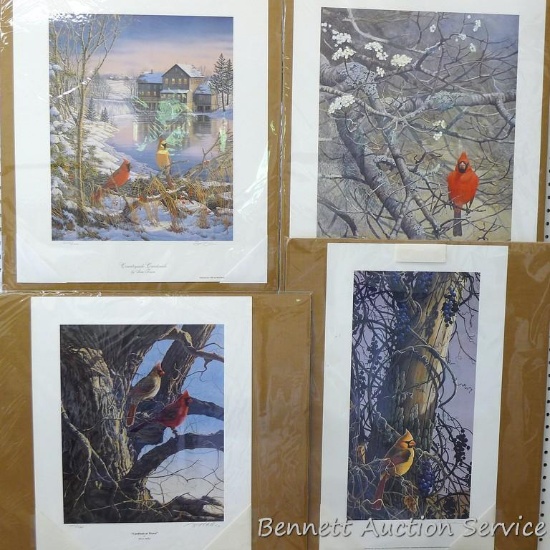 Four signed & numbered Cardinal prints by Tim Schultz, Bruce Miller, Sam Timm and Lars Jonsson. Tim