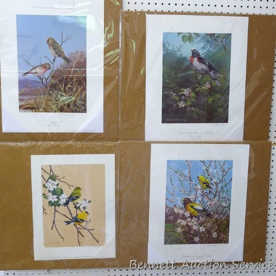 Three signed & numbered songbird prints by Owen Gromme, and one print by Michael Riddet. Owen Gromme
