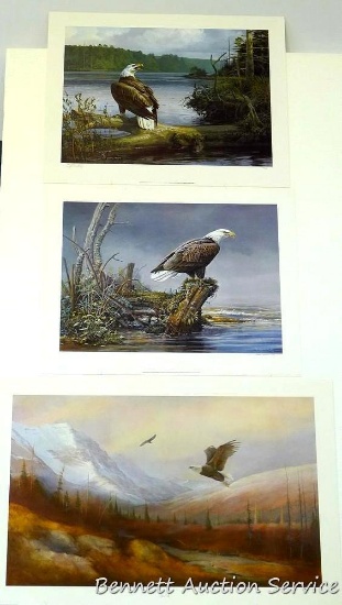Three signed and numbered eagle prints. Includes Silent Outpost by Scott Zoellick (22? x 28?);