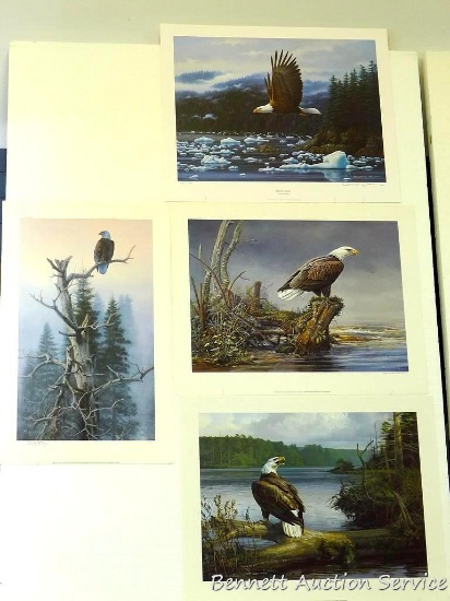 Four signed and numbered eagle prints including: Raptor In The Rain by Don Kloetzke (22 1/8? x 27