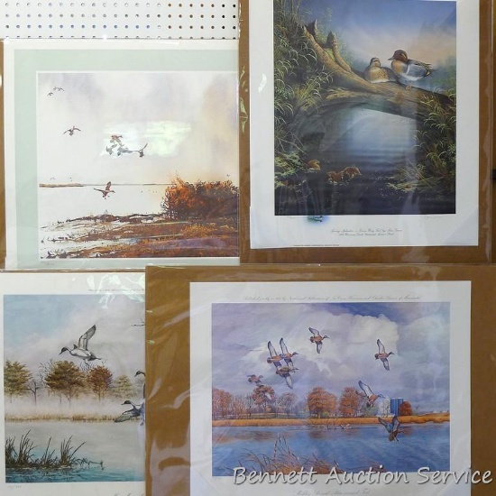 Four duck prints by Sam Timm, John Peterson, Charles Pearson, and Jerry A. Newman. Sam Timm 'Spring