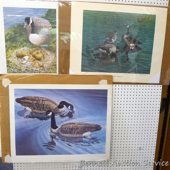 Three Canada goose prints by Kathy Flynn, Peggy Bang and Hoyt Smith. Kathy Flynn goose and gosling