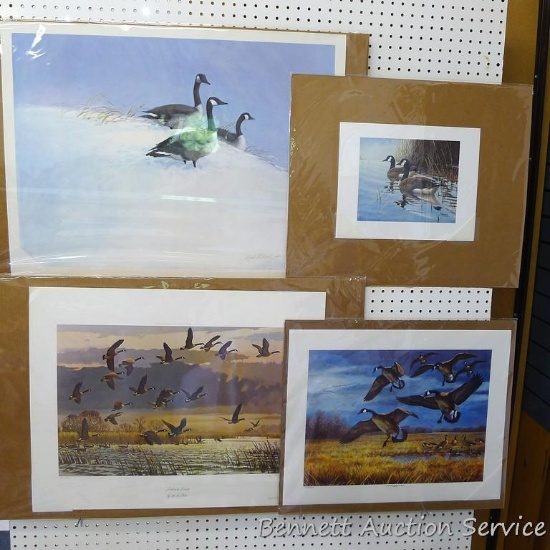 Four Canada goose prints by Virgil Beck, Derk, Lee LeBlanc and Martin Murk. Virgil Beck 'Canadas