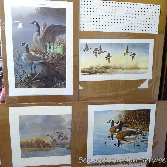 Four Canada goose prints by Derk, Jerry Gadamus, Mike Casper and Kathy Flynn. Derk 'Pause From the