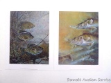 Two signed & numbered fish prints by Scott Zoellick including 'Heads Or Tails', 21-1/2