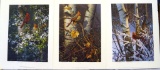 Three multi-artist prints. All are signed & numbered, two have matching numbers. 'First Season