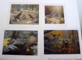 Four signed & numbered Ruffed Grouse prints. Jim Kloetzke 'Autumn Ivy', 21-1/2