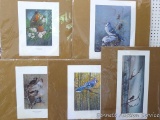 Five songbird prints are signed & numbered by Scott Zoellick, Beverly Scalze, Donald Malick, and