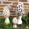Three concrete mushrooms up to 18