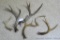 Whitetail antlers for rattling, knife handles or crafts. Up to 15