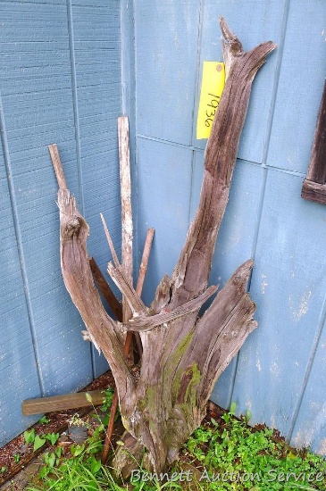 Driftwood is approx 4' tall.