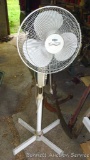 Three speed oscillating floor fan with tilting head. Works.