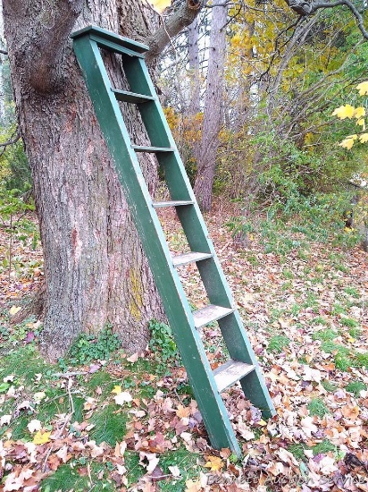 Tree house ladder is approx. 8' long.