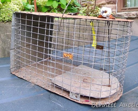 Homemade animal live trap is 20".