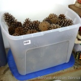 Tamor tote with lid holds pinecones. Top pine cones look to be between 3