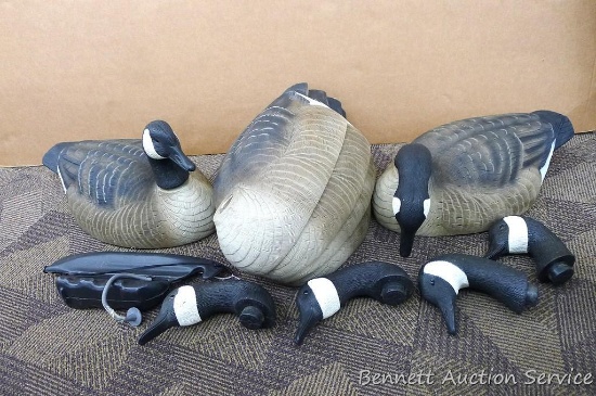 6 Canada goose decoys with removable heads measure 24" x 12" x 12" and appear in nice condition.