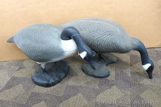 2 Full bodied feeding Canada goose decoys, bodies measure 36" x 12" x 19" tall. Nice shape.
