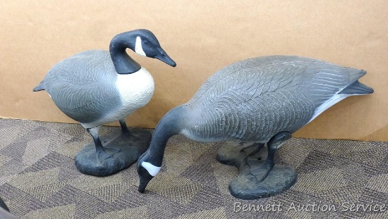 One Feeding and one on-alert Canada goose decoys, bodies measure 36" x 12" x 19" tall. Nice shape.