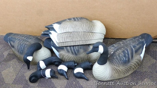 6 Canada goose decoys with removable heads measure 24" x 12" x 12" and appear in nice condition.