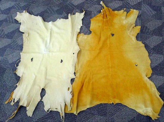2 Tanned deer hides, approx. 54" x 29".